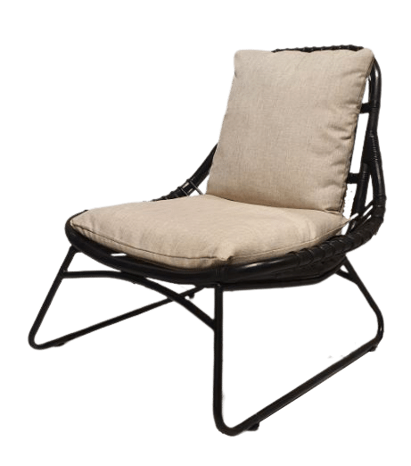 Brix Fauteuil Bowi Zwart